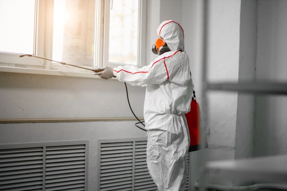 Professional mold remediation services in Mcadoo, PA